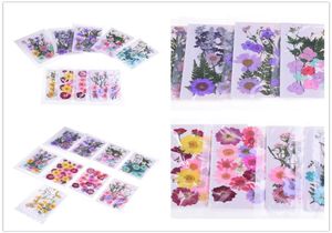 Несколько красивых настоящих прессованных цветочных цветов для художественного ремесленного скрапбукинга Смола для ювелирных изделий для производства телефона Case2539370