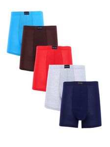 Underbyxor 5 pcspack boxer män underkläder man andas shorts boxare långa män039s boxershorts kläder plus size6813083