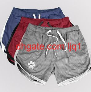 Muscolo fitness estivo men039s cortometraggi sportivi pantaloni da spiaggia casual fitness asciugatura rapida super pantaloncini traspirato5970870