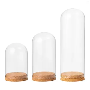 Bottles Cloche Jar With Wood Base Glass Dome Display For Home Desktop Decorative