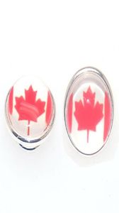 Flag Resin Cabochon Kameleon Jewelpops Jewelpops Fits DIY Insert Charm Bracelets Necklace Ring 925 Silver Plated Jewelpops21995755973