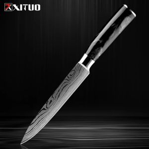 Xituo 5 tum Paring Knife Kitchen Utility Knife Damascus Laser Mönster Kniv Högkolstål Kock Kniv Ergonomisk hartshandtag