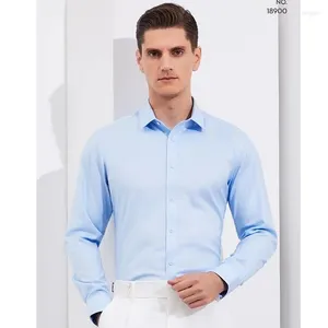 Camisas de vestido masculinas All Seasons Office Busine