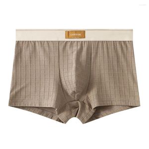 Underpants 1pc de calcinha de algodão do meio de algodão sexy de algodão masculino