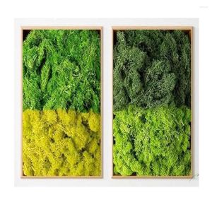 Fiori decorativi 500g/1000G Mini paesaggio Eterna Life Eternal Must Moss Artificial Green Plants Home Garden El Roofteop Decor decorazioni fai -da -te artigianato