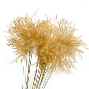 Flores decorativas do vento conciso cor primária cor de cavalo bata Flor Dry 30 peças Multi Tamanho