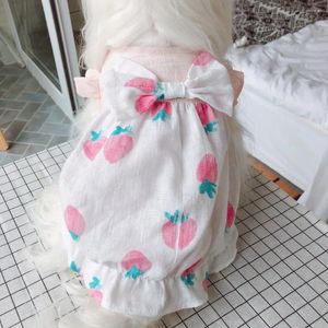 Abbigliamento per cani abiti da gatto da compagnia piccolo lampone dolce gonna in stile puro cotone primavera estate sottile abito principessa