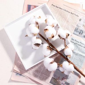 Flores decorativas 10 cabeças de algodão seco natural plantas artificiais caules decoração de festa de casamento de ramificação floral decoração de casa falsa