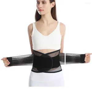 Suporte da cintura Spandex Band Breatability Spine Brace Lombar Belt Plate Treiner Belt