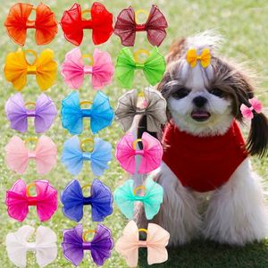 Köpek kıyafetleri 20pcs Dantel Yaylar Kauçuk Bantlar ile Kelebek Bakım Sevimli Butik Hediye Pet Bowknot Puppy Cat Meatwear