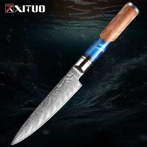 Paring Knife 5 Inch Small Kitchen Knife VG10 Damascus Steel Utility Knife Fruit Knife Cutting Fruit and Vegetables Peeling Knife