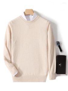 Camisolas masculinas Spring Sweater Basic Pullover Sweater Pure Pure Smart Casual Jumper Merino malha de lã de roupas de conforto macio