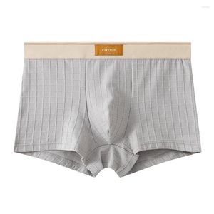 Underpants 1pc Sexy Men's Middle Comfort Cotton Rouphe Bulge bolsa boxers shorts shorts ma xixos de calcinha de calcinha