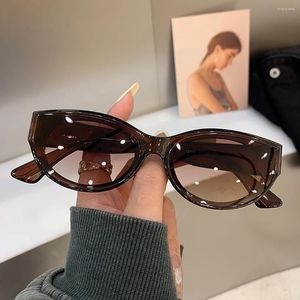 Güneş Gözlüğü 2024 Koreli Kedi Göz Oval Kişiselleştirilmiş Vintage Moda Modaya Düzenli Kadın Kızlar Marka Tasarımcı Gözlük