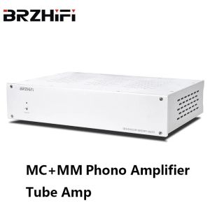 Amplifikatör Brzhifi Gümüş Alman Tianji D.KLIMO Kerim Tüp Amplifikatörü Mc MM Fono Amp Ev Tiyatrosu Stereo Ses Hifi