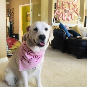 Hundkläder Anpassad födelsedagsbandana gåva till tjej mamma rosa halsduk flanell hundar doggies älskare