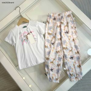 New baby tracksuits Summer kids designer clothes Size 90-160 CM Tiger pattern print T-shirt and Various animal printed pants 24April