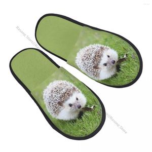 Slippers Plush Indoor Hedgehog Cute Wildlife Warm Soft Shoes Home Footwear Autumn Winter