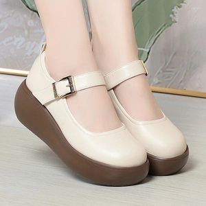 Dress Shoes Spring Fashion Wedge Round Toe Soft Bottom Lolita Women Cute Vintage Mary Jane Chunky College Student