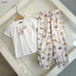 ファッションベビートラックスーツサマーキッズデザイナー服サイズ90-160 cmタイガーパターンプリントTシャツとさまざまな動物プリントパンツ24april