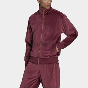 Erkek Trailtsits Streetwear Sonbahar Peluş Peluş Kazak İki Parçalı Sıcak Erkekler Yeni İnce Trendi Sıradan Altın Velvet Moda Takım Erkekler Moda Seti
