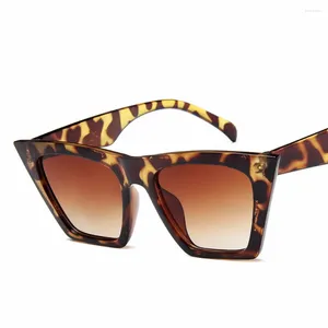 Sunglasses Trendy For Women Vintage Classic Style Luxury Shopping Sun Glasses With UV400 Protection