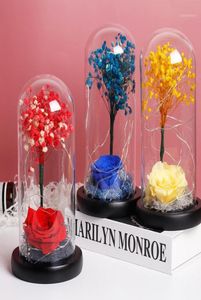 ロマンチックな不滅の花のマイクロランドスケープフォーエバーレッドローズフラワーガラス祭りの保存不滅の新鮮なユニークなギフト18355146