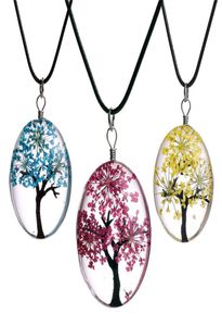 3525mm Fashion Plant Dried Flower Pendant Starry Life Tree Necklace Time Gemstone DIY Handmade Glass Jewelry Whole k4219312487