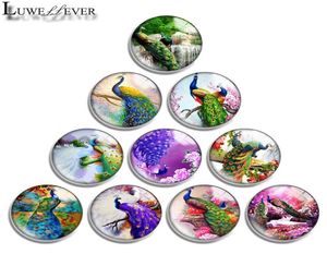 10mm 12mm 14mm 16mm 20mm 25mm 30mm tokalar 656 Peacock Yuvarlak Cam Cabochon Takı Bulgusu 18mm Snap Düğme Charm Brac9454704