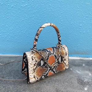 Bag One-Shoulder Women 2024 Snake Skin Versione coreana della catena di moda Trend Porta piccola piazza