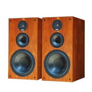 Amplifikatörler 10 inç 250W kitaplık hoparlörleri ahşap monitör pasif ateş hifi ev sinema sistemi müzik ses ekipmanı amplifikatörler hoparlör