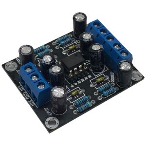 Modulo audio preamplificatore Amplificatore Modulo a motore singolo NE5532 Finita Dual Out Preamp Preamplifier Board Digital Power Module Amplificatore Scheda