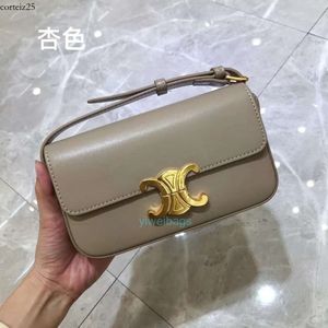 Triomphes Bags Designer Bag Celiene Bag Same Triumphal Arch Mini Staff Underarm Bag Teen Hobo Tofu Bag Lock Single Shoulder Box Celinis Medieval Underarm Bag 525