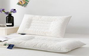 Nuovo cuscino comodo cuscinetto per cuscinetti sanitari Cassia cuscino cervicale cuscino di grano saraceno latex6656439