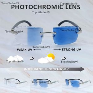 Zmiana kolorów okulary przeciwsłoneczne fotochromic małe diamentowe cięcie carter dwa kolory soczewki 4 sezonowe drewniane designerskie odcienie okulary oryginalne wydanie