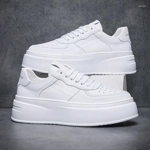 Casual Shoes Italienische Markendesigner -Plattform für Männer atmungsaktive Wohnungen Aufzug Schuh Schuh Original Leder -Sneakers Street Schuhe