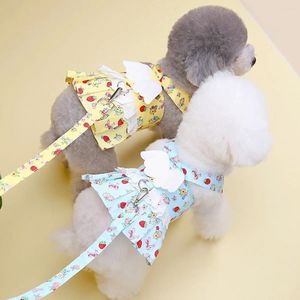 Vestido de animal de estimação anjo de vestuário de cachorro com trela de saia fofa puxar botão de vestidos pequenos, arnês roupas de cachorro ao ar livre