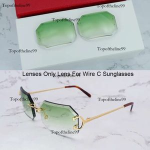 Ersättning för 828 Wire C Carter Designer Solglasögon linser endast flera val 2 -håls originalutgåva