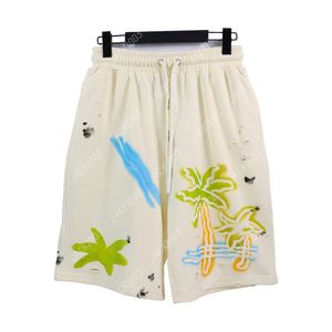 Palm PA 2024SS Nuova estate rotta a buco casual uomini donne bordo shorts shorts traspirato comodo basket di basket sport pantaloni corti angeli 8571 Sia