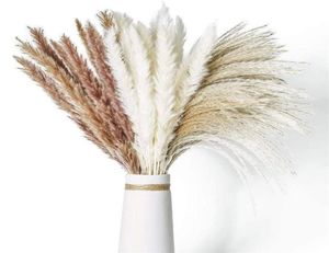 Decoração Flores naturais secas pampas grama fiori secchi reed phragmites plantas buquê para festas de casamento em casa mesa decoração270755444113