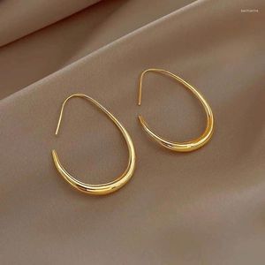 Hoop Ohrringe Mode Gold Silber Farbe Geometrisches Oval für Frauen Einfache DIGIN -Party Hochzeit Schmuck Geschenke