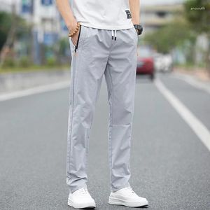 Calças masculinas Primavera e verão vendendo Micro Elastic Fashion Casual Casual Longo Tubo reto Seda de gelo para homens