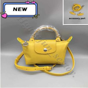 High quality Bag Mini Single-handle handbags designers red bag Dumpling luxury crossbody Waterproof Nylon Leisure Hand Purse Hualong handbag designer bags