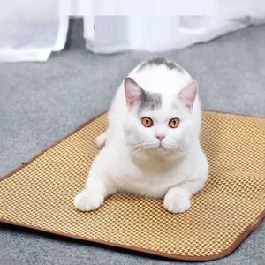 Camas de gato móveis de cachorro Cooling tapete de verão Cama de animais de estimação extra grande para pequenos cães grandes cães gatos gatos animais de estimação cão de gato cama de gato cama de animal de estimação cama