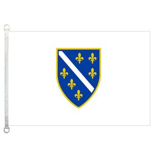 Bosnia и Herzegovina Flag Banner 3x5ft90x150см 100 полиэфир 110GSM WARP вязаная ткань на открытом воздухе 2696291