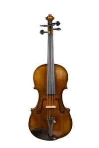 Maggini copia violino posteriore in due pezzi di acero a grana infiammata e pergamena
