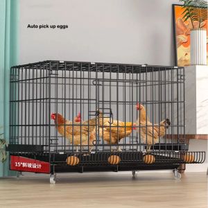 Acessórios 70x51x61cm Hen Metal Mesh ovo de galinha Casa de galinha Caixa de animais para aves de aves de fazenda Auttral automático