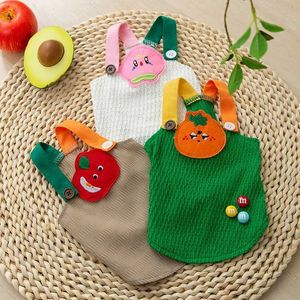 Vestuário para cães primavera e verão de desenho animado adesivo de frutas mostra tração strap gato de dois metros de pelúcia de pelúcia de roupas de estimação de roupas de estimação h240506