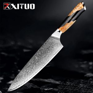 Japoński nóż szefa kuchni Damascus 8-calowy nóż kuchenny 67 Warstwy Damascus Steel VG-10 Gyuto Kiritsuke Meat Knife ostro kulisty