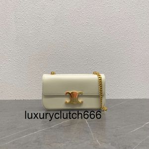 CE Lady Purse Bag Ce Bag Triumphal Arch Bag Axel Designers Bag Chain Claudes Crossbody Bag tofu Bag Womens Bag Fashion Bag Under 3CJM